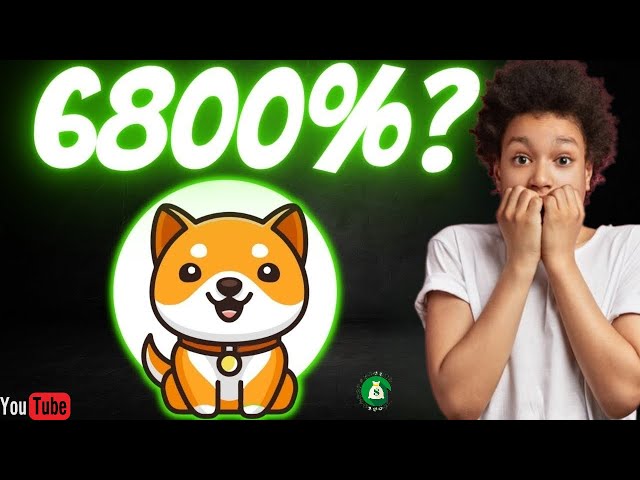 It's approved with BABY DOGE COIN | BullRun 2024 analysis