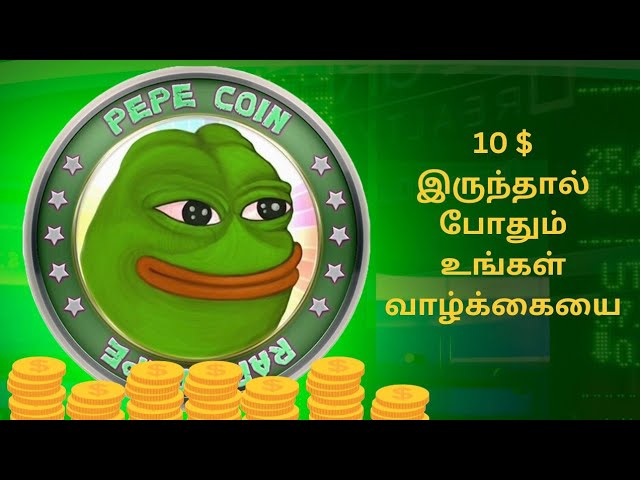 BUYING PEPE TOKEN FOR 10$ HOW MUCH FUTURE PROFIT | Crypto Gobi