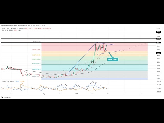 Binance Coin Price Analysis: Will $BNB Price Surpass $650 By April End?