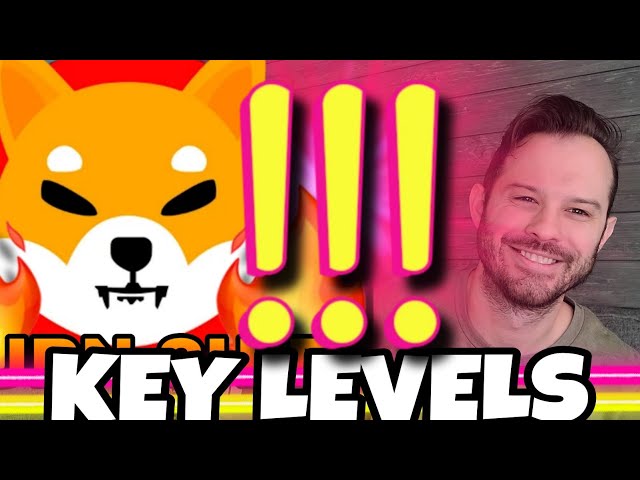 Shiba Inu Coin | SHIB Reversal And Key Levels Ahead!