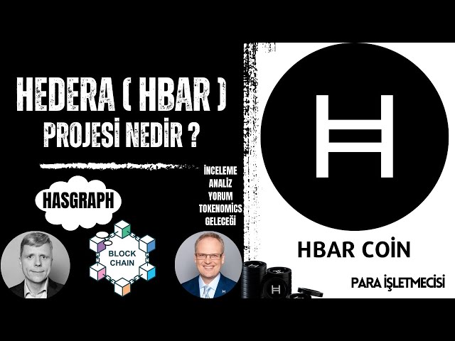 Was ist Hedera (HBAR) Coin? HBAR Coin Review, Analyse, Kommentar, Tokenomics und Zukunft