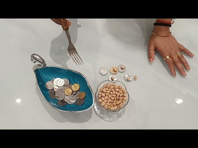 Chana Coin 趣味游戏/准时游戏/趣味游戏/小猫游戏 by deepti 😎