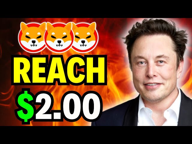 埃隆·马斯克 (Elon Musk) 的秘密策略是达到 2.00 美元 今天的 SHIBA INU COIN 新闻 - SHIBA INU COIN！