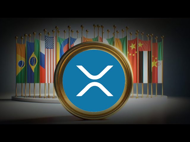 XRP 리플이 바로 들어왔습니다 !!!!!!