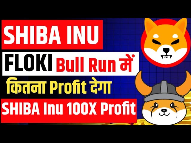 Shiba Inu Latest Jump News | Floki Inu Latest Update in hindi | #shibainucoin #flokiinu