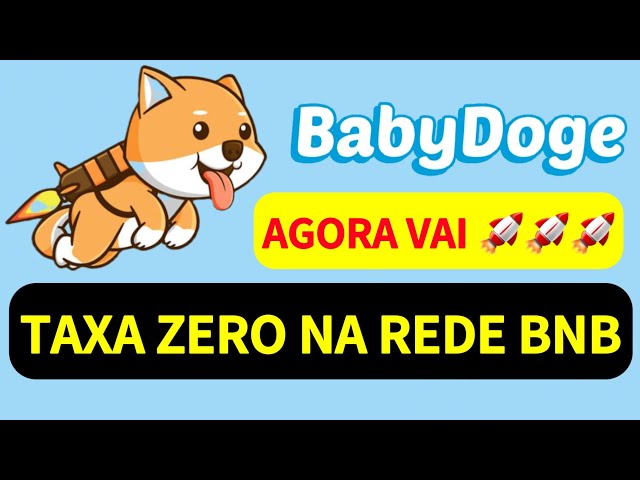 BABY DOGE -bnb 네트워크 요금 제로- NOW GO 🚀🚀 @milionarioscomcriptomoedas