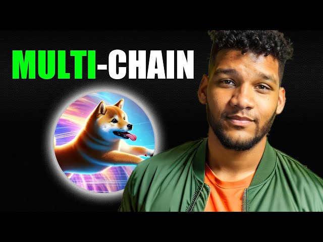 #DOGE wird Multi-Chain!!! Brandneuer Vorverkaufs-Token (Dogeverse)