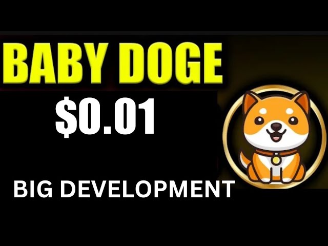 오늘의 Baby Dogecoin 뉴스 | 대규모 개발 | BabyDoge 코인 가격 $0.01 | 바이낸스 상장