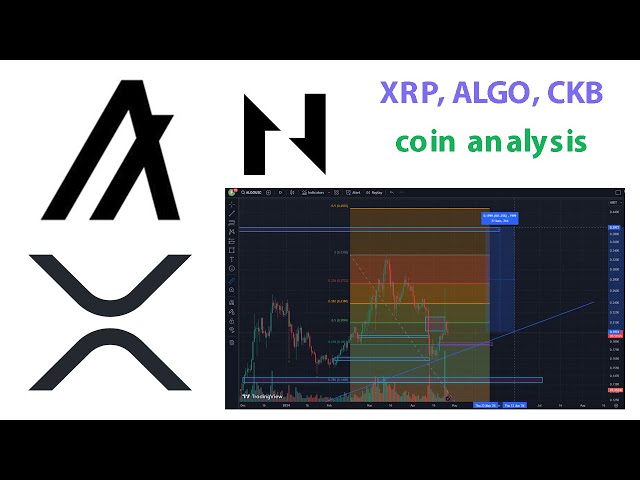 코인 분석 XRP(리플) ALGO(알고랜드) CKB(Nervos Network)