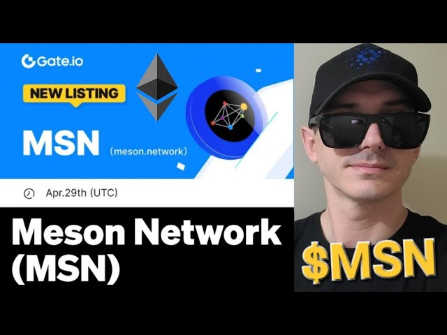 $MSN - MESON NETWORK TOKEN CRYPTO COIN GATE GATE.IO MSN BLOCKCHAIN MESON.NETWORK ETH ETHEREUM ARB