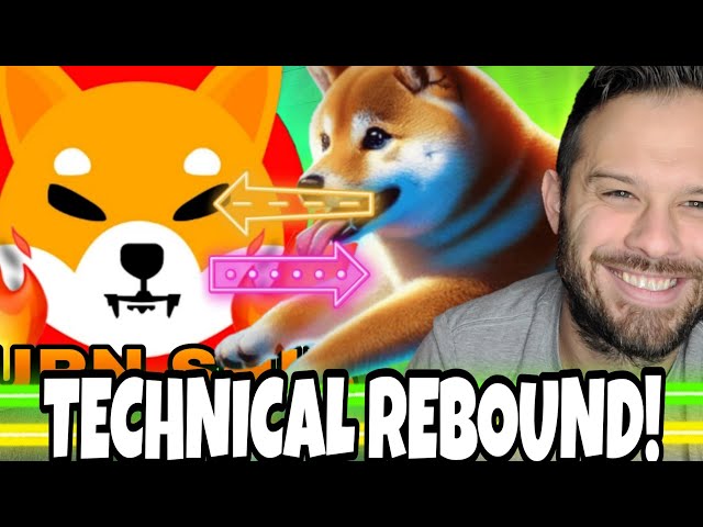 Shiba Inu Coin | SHIB Technicals Point To Recovery Dogeverse Being Advertised To SHIB Investors