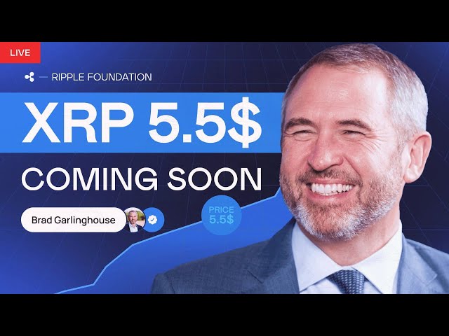 Brad Garlinghouse: XRP 뉴스: 판사가 리플 소송에서 새로운 명령을 내리자 고래들이 1억 8천만 XRP를 이동합니다