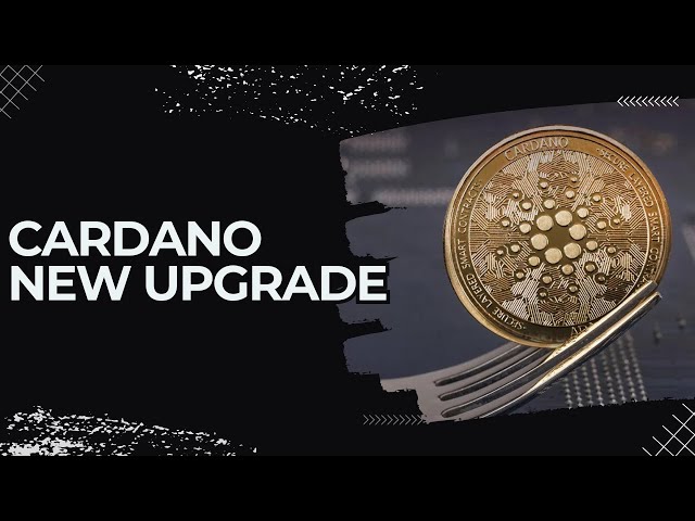 [ADA]🚨주요 업데이트🚨CARDANO CHANG 하드 포크 | 축적 영역 | Cardano를 위한 치열한 경쟁