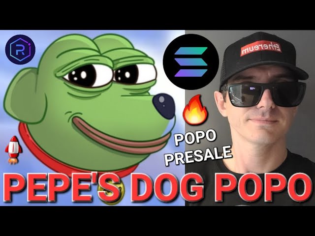 $POPO - PEPE 的狗 POPO 代幣是騙局嗎？加密貨幣 PEPE MATT FURIE 預售 SOL SOLANA RAYDIUM