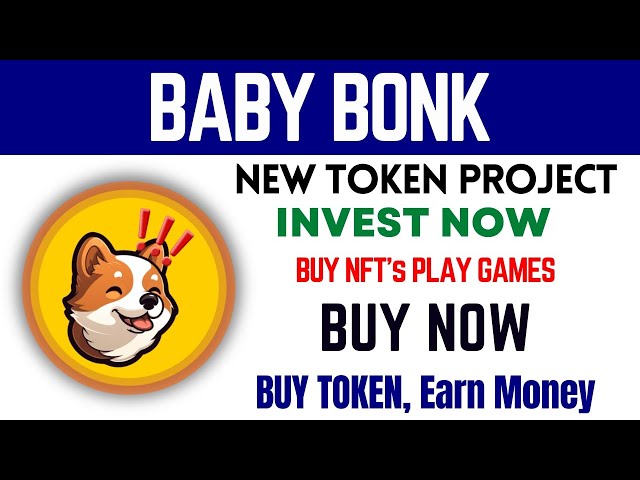 새로운 게임 프로젝트 BABY BONK 토큰 전체 검토