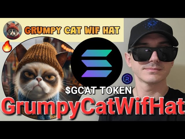 $GCAT - GrumpyCatWifHat トークン暗号コイン GRUMPY CAT WIF HAT SOL SOLANA RAYDIUM JUPITER プレセール GCAT