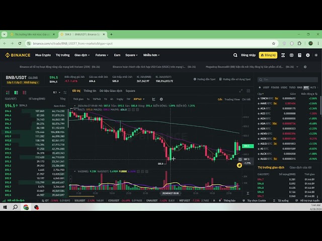 BNB/USDT-Münze 2024