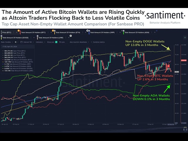 Les portefeuilles Bitcoin augmentent rapidement en tant que portefeuilles actifs pour ces crypto-monnaies