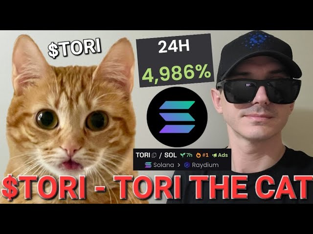 $TORI - TORI THE CAT 代幣 加密貨幣 MEME MEMECOIN SOL SOLANA RAYDIUM JUPITER ORCA 新區塊鏈