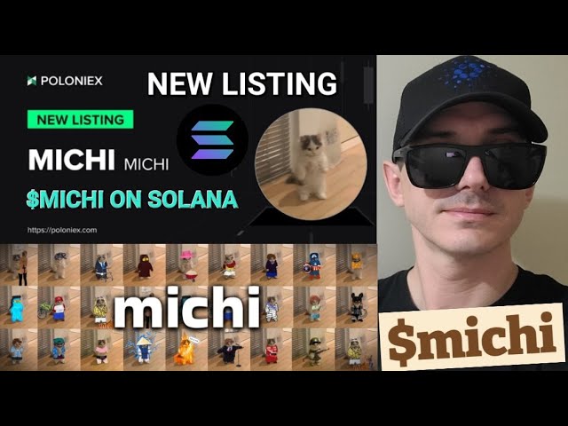 $MICHI - MICHI 代币 加密货币 SUN SOLANA POLONIEX RAYDIUM JUPITER ORCA CAT MEME MEMECOIN BIRDEYE