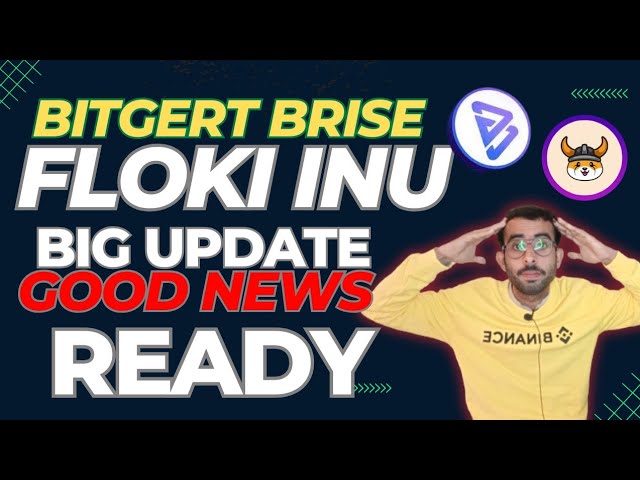 Bitgert Brise Coin Update – Bitgert Brise Coin News – Floki Inu News Today