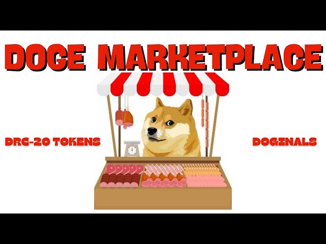 Doge Coin Art - Inscriptions Doginals et DRC20s sur Doge Blockchain et le marché.