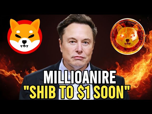 Elon Musk : VOUS AVEZ SEULEMENT BESOIN DE 5 MILLIONS DE SHIB COINS POUR DEVENIR MILLIARDAIRE !! - NOUVELLES SHIBA INU