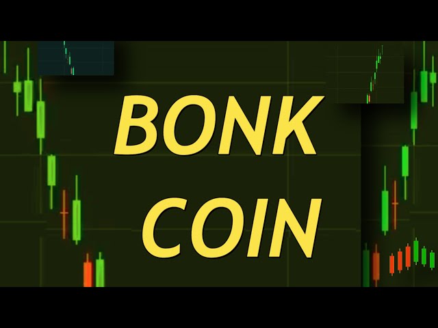 BONK COIN 价格预测今日新闻 4 月 28 日