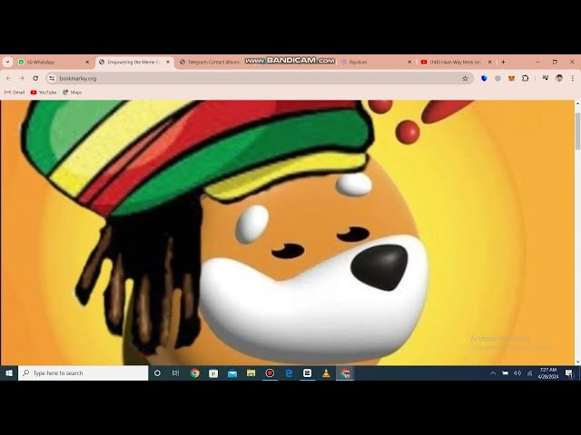 Bonk Marley / New Amazing Token Built On Solana Network In 2024 /Buy Now & Earn