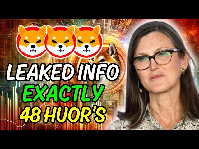 Shiba Inu Coin | SHIB Price Predictions Lucie Expects $1, 00ChatGPT Thinks Otherwise