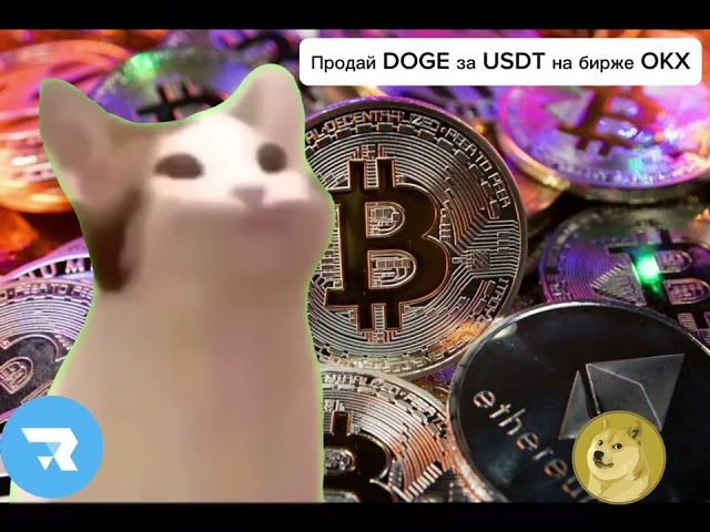 Wie kaufe ich RAFF mit DOGE Coin?