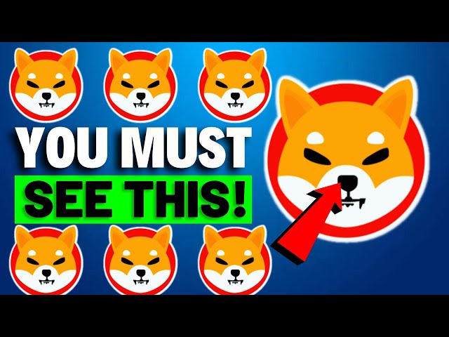 DERNIÈRE CHANCE : VOUS DEVEZ REGARDER CETTE VIDÉO SI VOUS DÉTENEZ TOUJOURS DES JETONS SHIBA INU - SHIBA INU NEWS