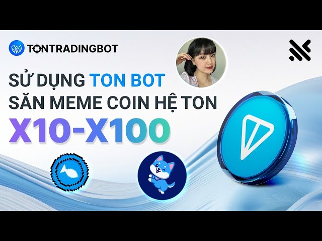 Anweisungen zur Verwendung des Ton Trading Bot Odds Hunting Meme Coin Ton Systems x10 - x100