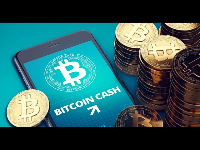 BCH 价格预测：5 月目标为 600 美元，还是看跌至 400 美元？