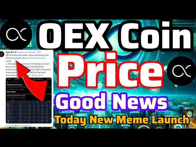 OEX Coin Price Good News|OpenEX Mainnet Launch|OEX Coin value|New meme launch today||