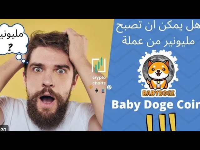 Analyse du projet Baby Doge Coin – Atteindra-t-il 0,01$ ?