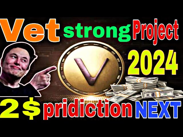 獣医コイン価格生産 V チェーン非常に強力なプロジェクト 2024 100 倍ポンプ ビットコイン半減 🚀