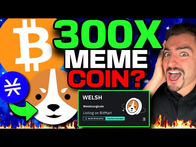 $WELSH NEW EXCHANGE LISTING! (Next 100x Meme Coin) Stacks Ecosystem READY!