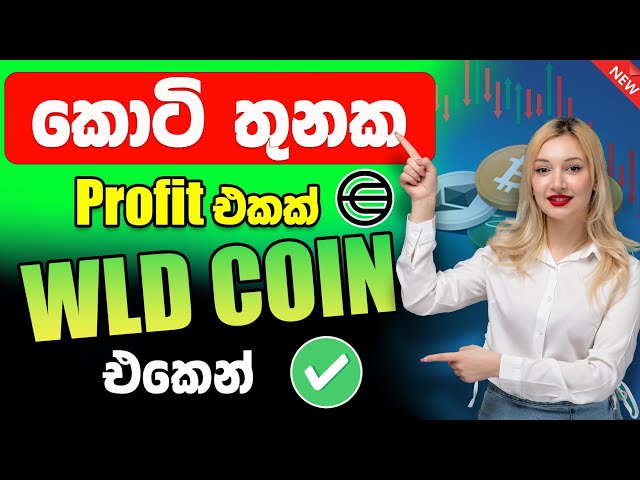 Profit millions from World Coin Binance Sinhala | trading sinhala