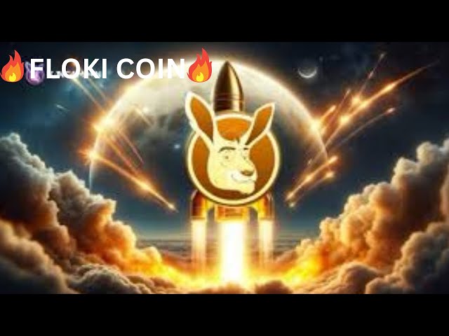 Floki : Le prochain Dogecoin ? Pourquoi Floki Coin pourrait être votre prochain gros investissement