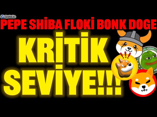 PEPE SHIBA FLOKI DOGE BONK 临界水平！！没有这些...？ #floki #bonk #dogecoin #shiba #shib