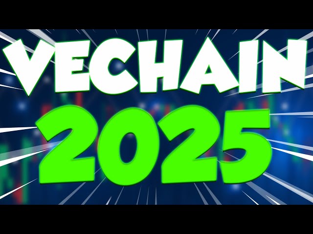 明年的 VET 将震惊所有投资者 - VECHAIN 最现实的价格预测