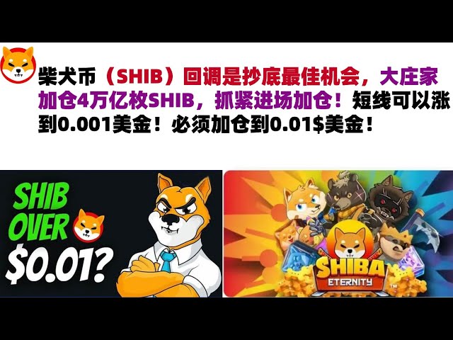 柴犬币（SHIB）的回调是底部买入的最佳机会。大庄家增仓4万亿SHIB。赶快入市加仓吧！在短期内