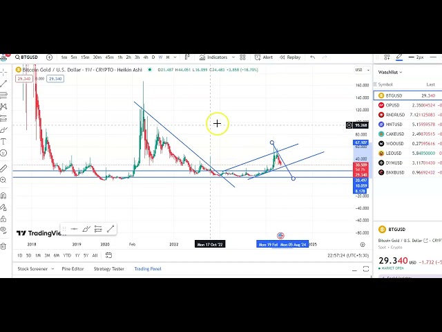 BTG 코인 입출금 업데이트! BTG 코인 가격 예측! BTG 코인 기술 분석!