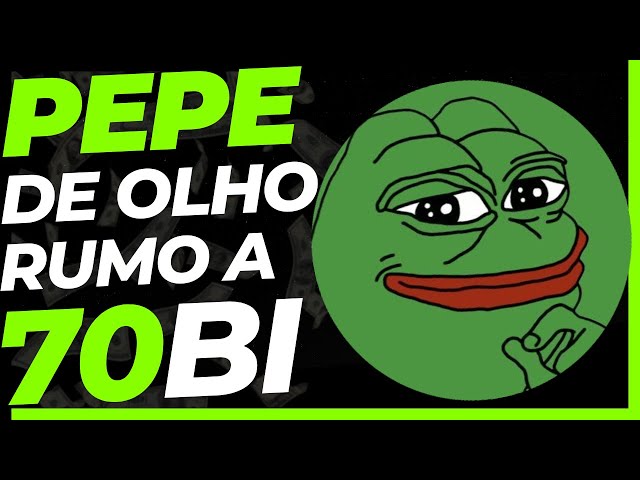 今天请继续关注 PEPE 币