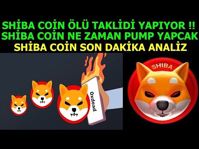 在 SHIBA，今天一切都将因一个词而改变！🚨在 SHIB COIN 中，确定还是继续？🚨就在这里......！🚨