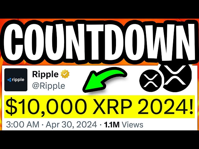 XRP 瑞波币：越来越严重了！ 10,000 美元的 XRP 不是一个笑话！ （日期！） - 瑞波币 XRP 今日新闻