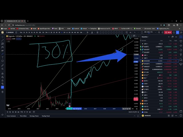 높은 수준의 추측. Doge 코인 목표 $1.05, shib 0.0003 시나리오 2