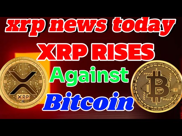 今日の Xrp ニュース 🔥🔥🚨🚨 XRP がビットコインに対して上昇 🔥🔥✅🚨 XRP ニュース更新