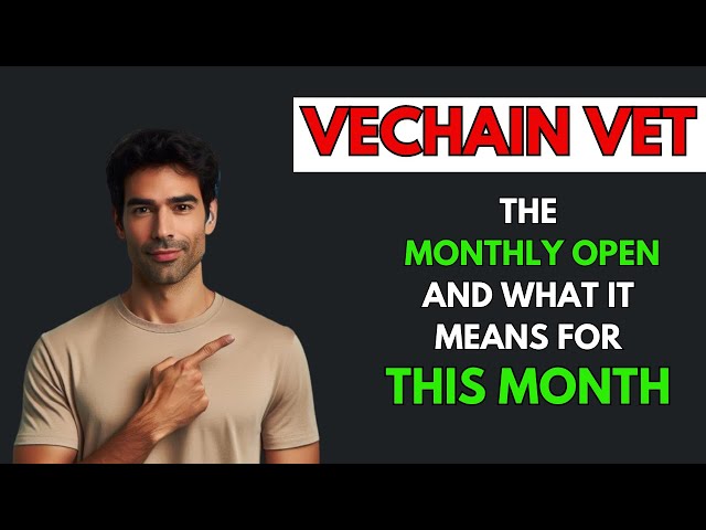 VECHAIN [VET]: 毎月のオープンとその意味